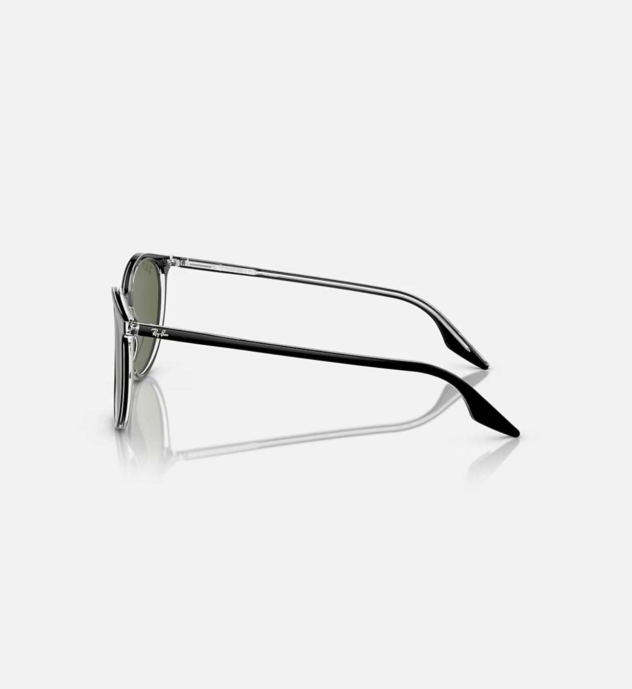 RAYBAN RB2204 Sunglasses in Black On Transparent and Green