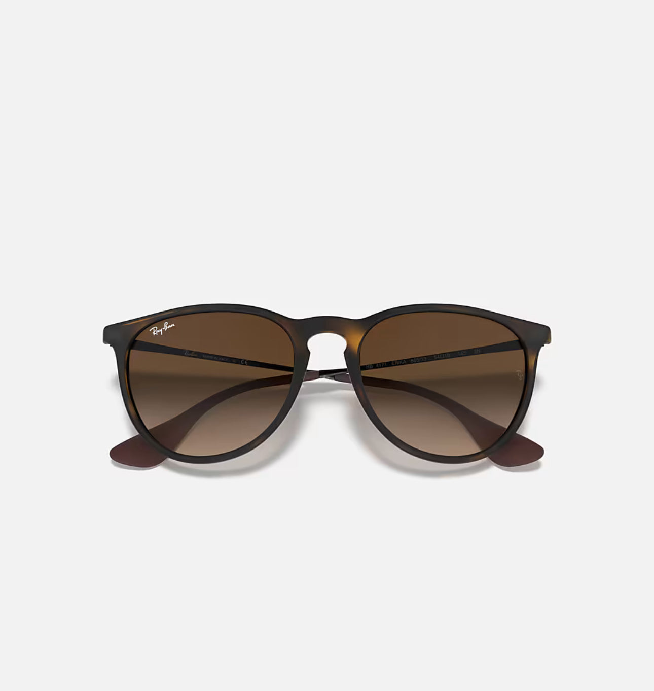 RAYBAN ERIKA RB4171 SUNGLASSES
