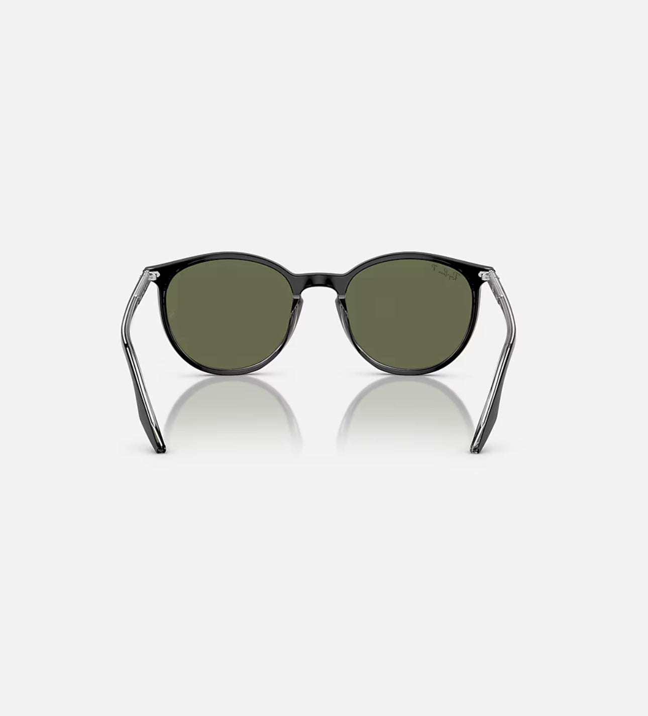 RAYBAN RB2204 Sunglasses in Black On Transparent and Green