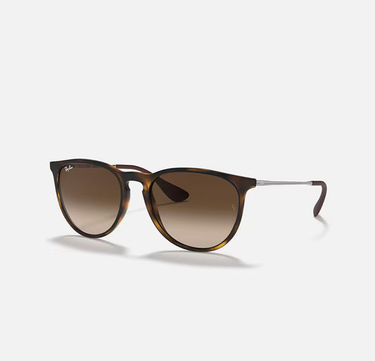 RAYBAN ERIKA RB4171 SUNGLASSES